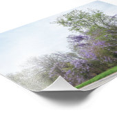 Wisteria Blooming langs Texas Road Foto Afdruk (Hoek)