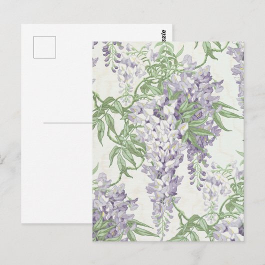 Wisteria Blossom Lichtblauw en Lavendelpatronen Briefkaart (Voorkant / Achterkant)