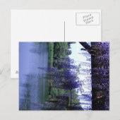 Wisteria Briefkaart (Voorkant / Achterkant)