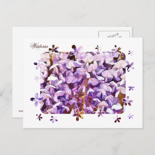 WISTERIA BRIEFKAART (Voorkant / Achterkant)
