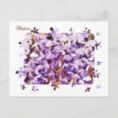 WISTERIA BRIEFKAART (Voorkant)