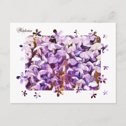 WISTERIA BRIEFKAART (Voorkant)