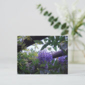 Wisteria Briefkaart (Staand voorkant)