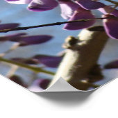 Wisteria-cluster Poster (Hoek)