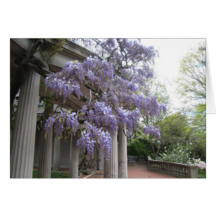 Wisteria Columns
