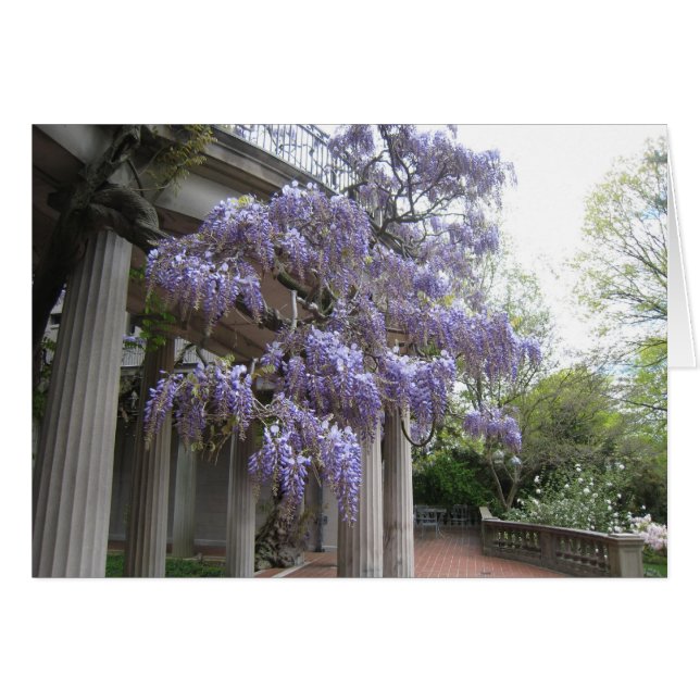 Wisteria Columns (Voorkant Horizontaal)