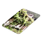 WISTERIA COTTAGE MAGNEET (Linkerzijde)