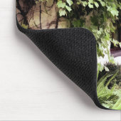 WISTERIA COTTAGE MUISMAT (Hoek)