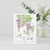 Wisteria Flowers - Maurice Pillard Verneuil - Briefkaart (Staand voorkant)