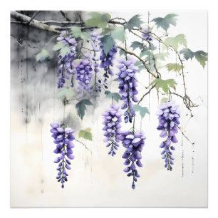 Wisteria Flowers Natuur Foto Afdruk