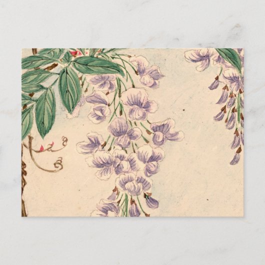 Wisteria Flowers, Purple Flowers, Floral Pattern Briefkaart (Voorkant)