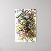 Wisteria Frutescens Botanische Kunstschilder Canvas Afdruk (Voorkant)