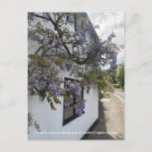 Wisteria groeit tegen een wit-ommuurd huisje feestdagenkaart (Voorkant)