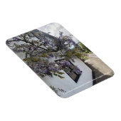 Wisteria groeit tegen een wit-ommuurd huisje magneet (Rechterzijde)