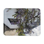 Wisteria groeit tegen een wit-ommuurd huisje magneet (Horizontaal)