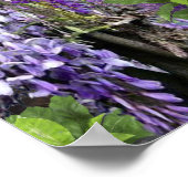 Wisteria & Grote vogels, Dreamweaver Themes Poster (Hoek)
