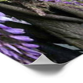 Wisteria & Grote vogels Duizelingthema Poster (Hoek)