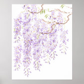 Wisteria in bloei 2023 poster (Voorkant)