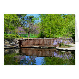 Wisteria in Bloom in Loose Park, Kansas City