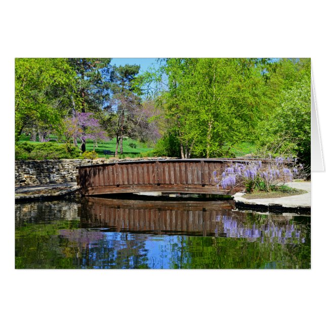Wisteria in Bloom in Loose Park, Kansas City (Voorkant Horizontaal)