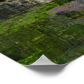 Wisteria in Bloom op de brug van Loose Park Poster (Hoek)