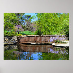 Wisteria in Bloom op de brug van Loose Park Poster