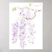 wisteria in bloom poster (Voorkant)