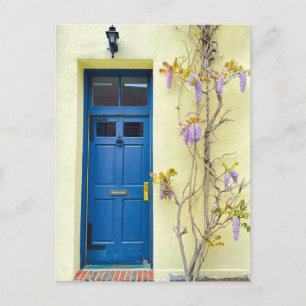Wisteria in het Briefkaart Bloom New York