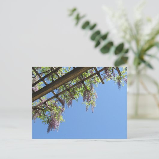Wisteria: Japan Briefkaart (Staand voorkant)