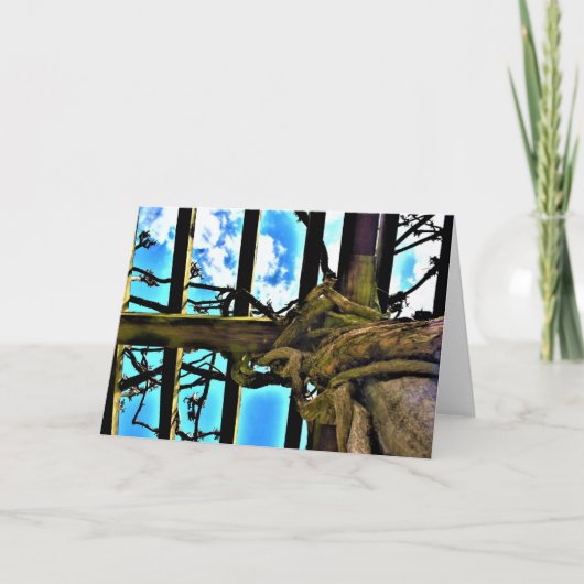 Wisteria, kaart (Voorkant)