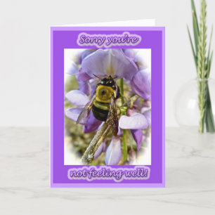 Wisteria & Male Carpenter Bee Get Well Kaart