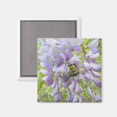 Wisteria & Male Carpenter Bee. Magneet (Voorkant / Achterkant)