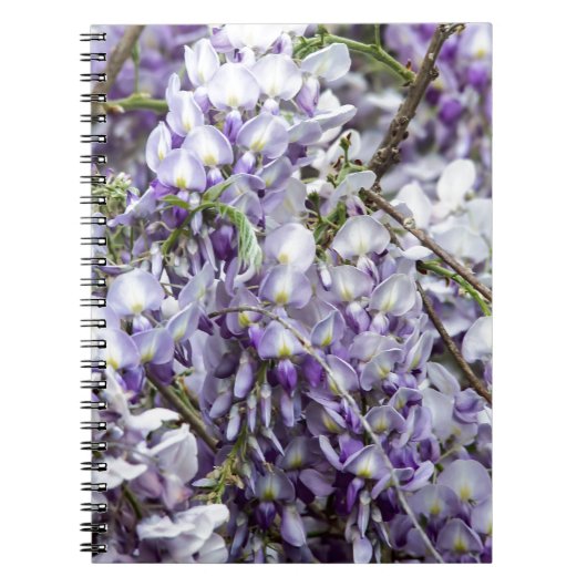 Wisteria Notitieboek (Voorkant)