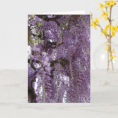 Wisteria ook kaart (Gele Bloem)