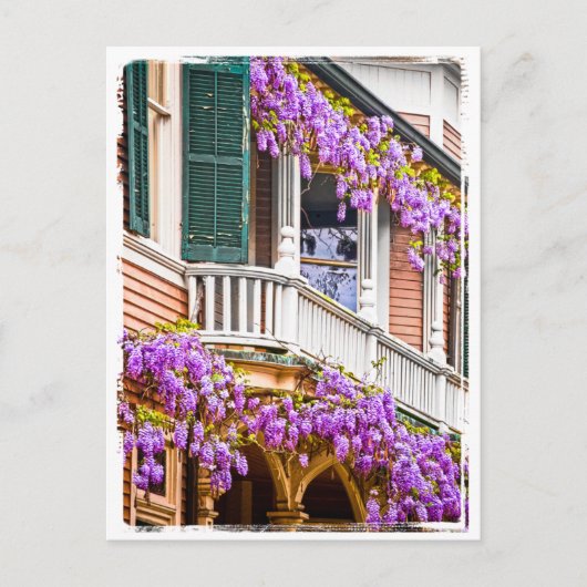 Wisteria op een Zuidelijk Huis in Savannah Briefkaart (Voorkant)
