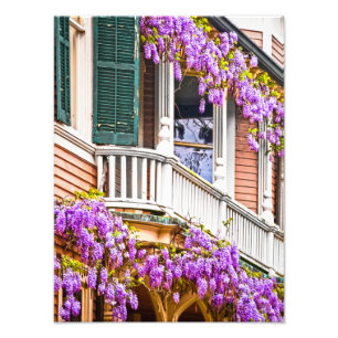 Wisteria op een  Zuidelijk Huis in Savannah Foto Afdruk