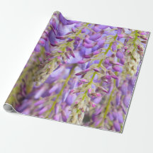 Wisteria Paars Floral Blossom Tree Violet Wrappin