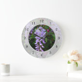 Wisteria Paars Flowering Grote Klok (Huis)