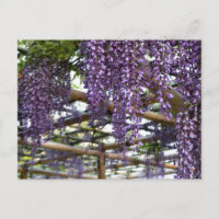 Wisteria Pergola: Kameido Tenjin, Tokio