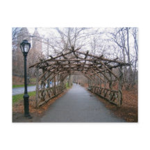 Wisteria Pergola New York City Central Park