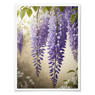 Wisteria Poster Wall Art Wall Decor
