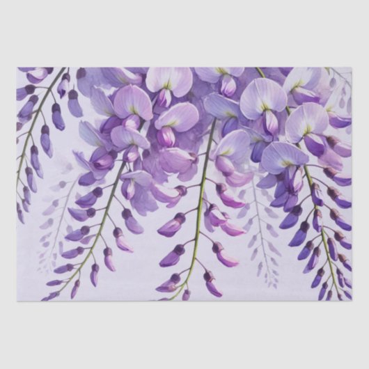 Wisteria Purple Flowers Wildflowers Waterverf Tissuepapier (Voorkant)