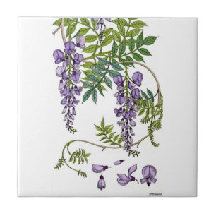 Wisteria Tegeltje