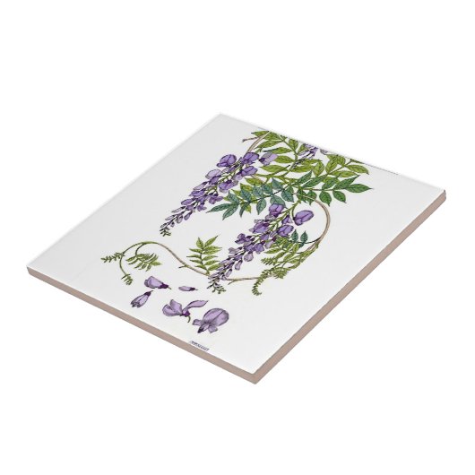 Wisteria Tegeltje (Zijkant)