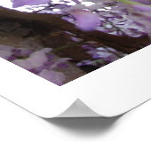 Wisteria too Poster (Hoek)