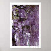 Wisteria too Poster (Voorkant)