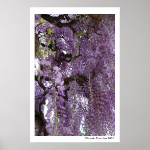 Wisteria too Poster