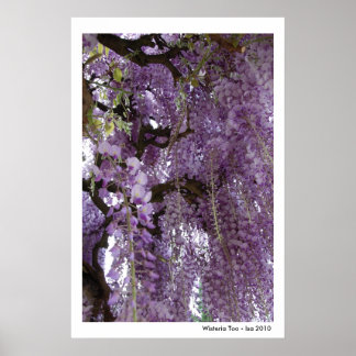 Wisteria too Poster