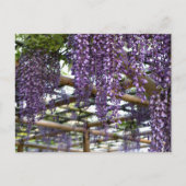 Wisteria Trellis: Kameido Tenjin, Tokio Briefkaart (Voorkant)