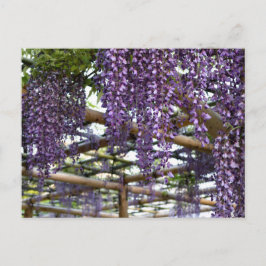 Wisteria Trellis: Kameido Tenjin, Tokio Briefkaart